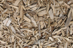 biomass boilers Rackheath
